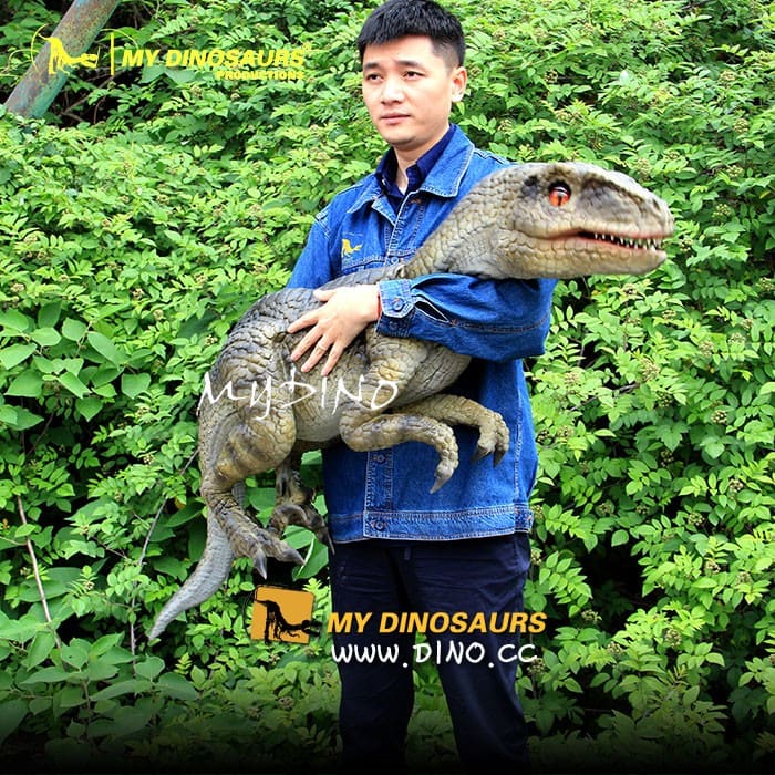 PP-026 恐龍玩偶小迅猛龍模型-定制嬰兒小手偶
