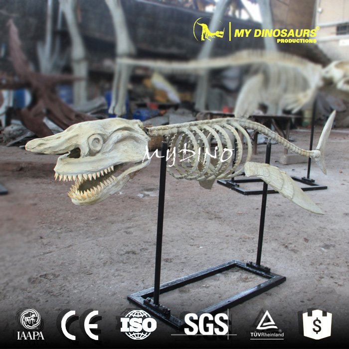 AS-053  海洋生物鯊魚化石骨架玻璃鋼定制
