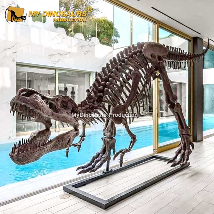 DS-0136 6.3米霸王龍化石骨架高級餐廳裝飾