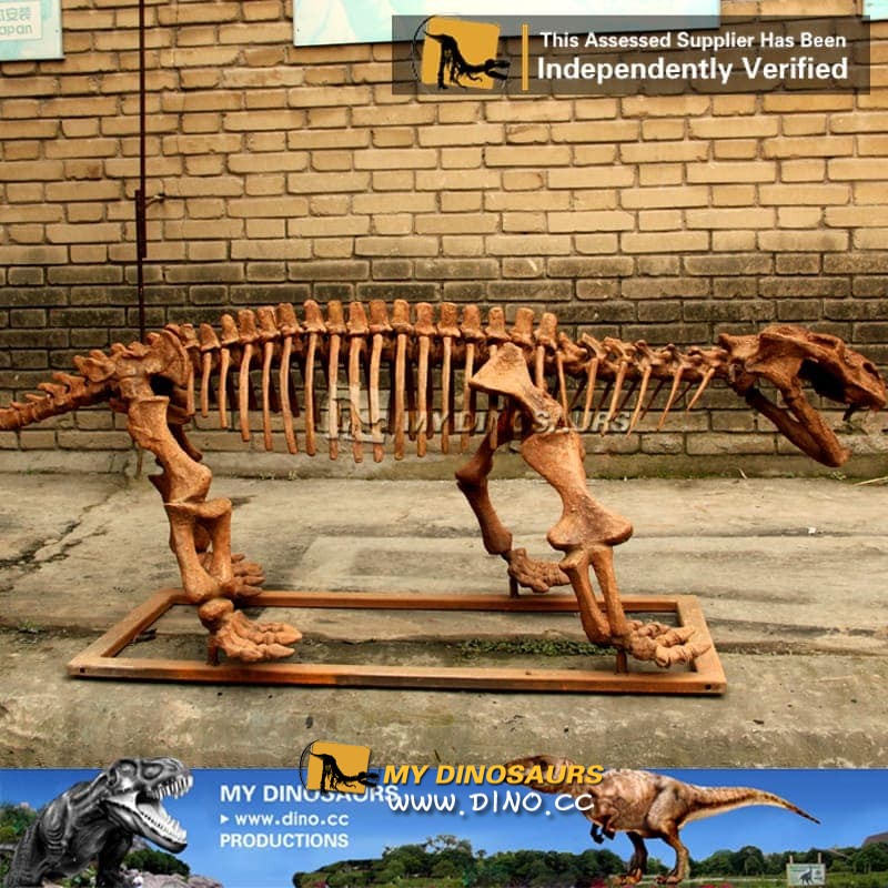 AS-003主題電影宣傳道具動物骨架-仿真水龍獸骨架
