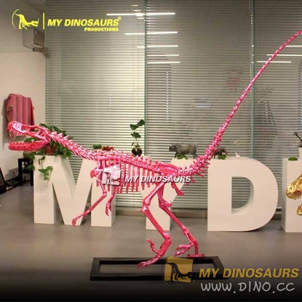 DS-125 時(shí)裝秀展示迅猛龍粉色骨架模型