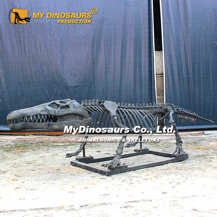 AS-070 吸睛引流玻璃鋼鱷魚骨架化石
