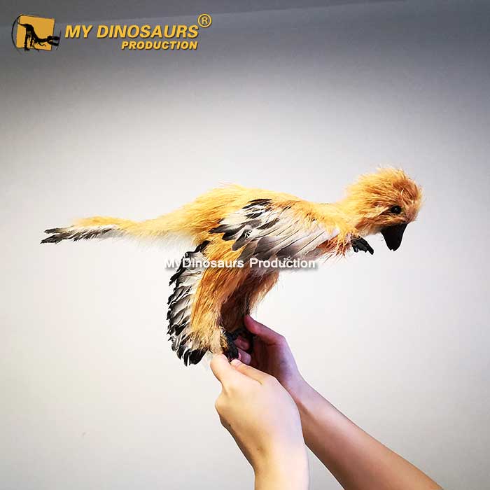 BL-027 玻璃纖維近鳥模型玻璃鋼裝飾