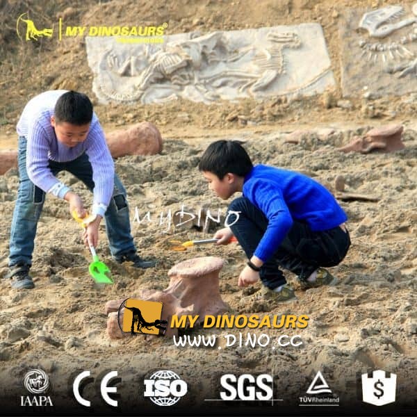 DS-107有吸引力的教育活動(dòng)挖掘恐龍化石