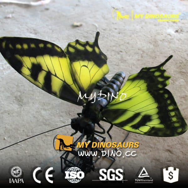 AI-041 大型昆蟲展覽巨大的動(dòng)物蝴蝶