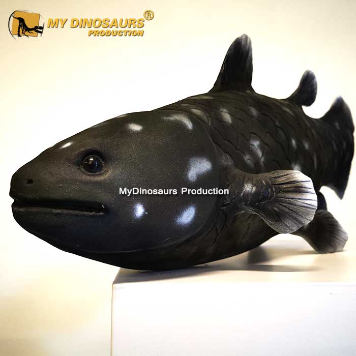 BL-029 腔棘魚玻璃鋼仿真模型