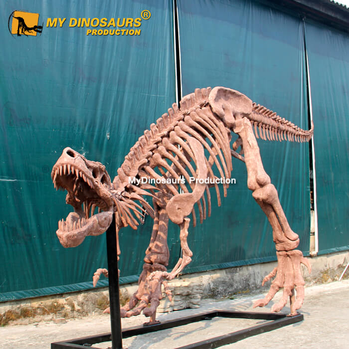 DS-0128 博物館霸王龍化石骨架定制還原仿制品