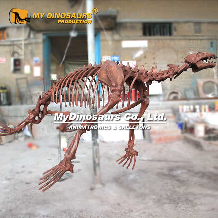 AS-082 中新世異索獸骨架懸掛化石模型