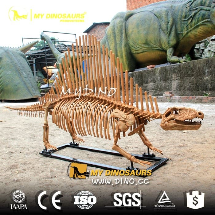 DS-057仿真恐龍復(fù)制品模型——異齒獸
