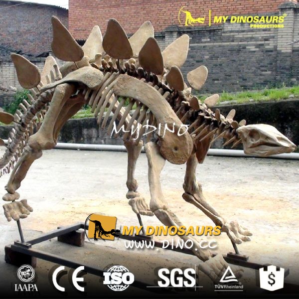 DS-038古生物考古挖掘化石標(biāo)本-沱江龍化石模型骨架
