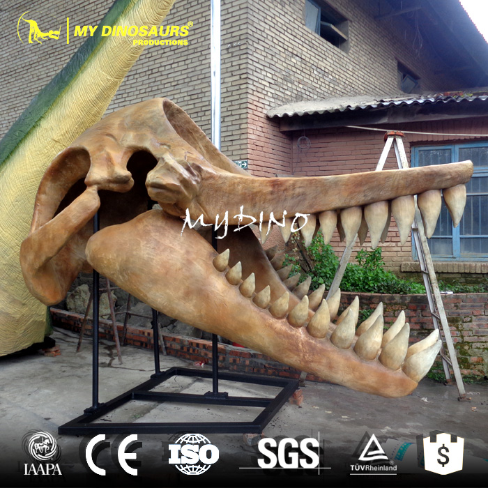 AS-047 利維坦鯨魚(yú)頭骨骨架模型出售