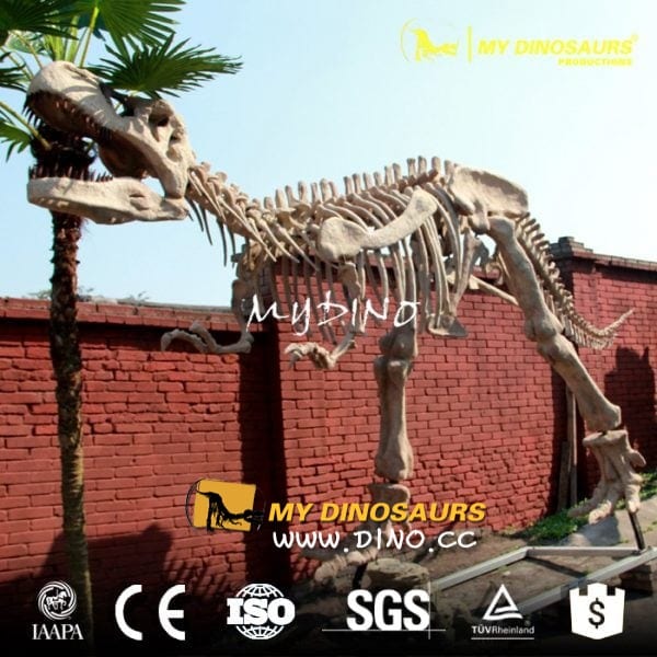 DS-011博物館復(fù)制品夜光恐龍骨架-高仿真霸王龍骨架