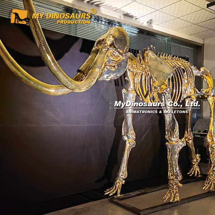 AS-041 引流吸睛猛犸象鍍金金骨架化石