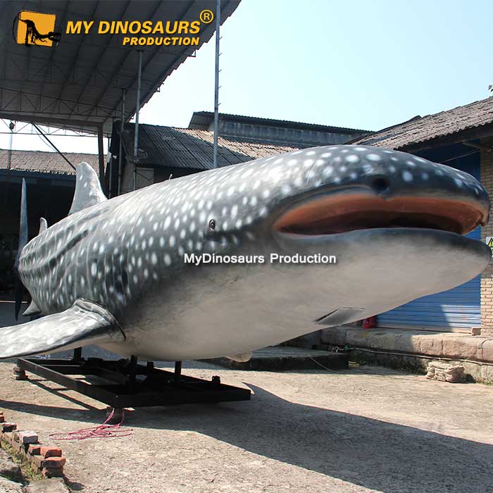 AA-055 水族館裝飾真實(shí)大小的動(dòng)物鯨鯊