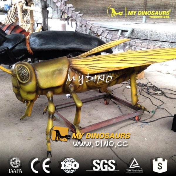 AI-012 自然博物館展品仿真玻璃鋼昆蟲-蚱蜢