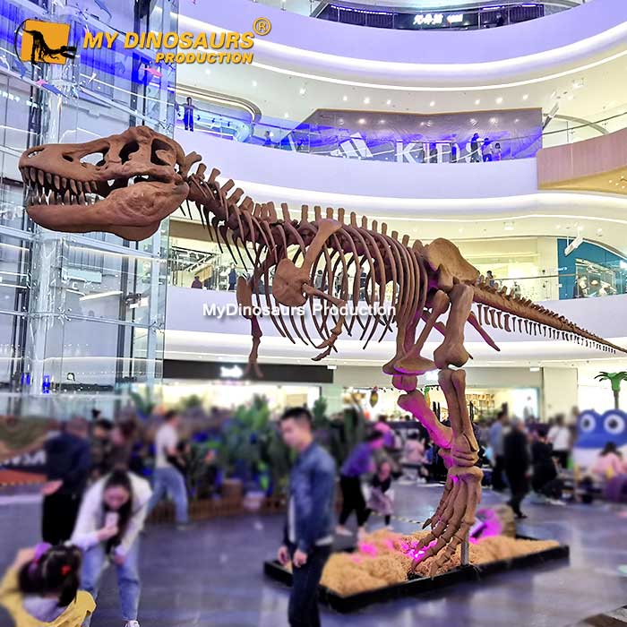 DS-0132 大型商場主題樂園霸王龍一比一還原化石骨架
