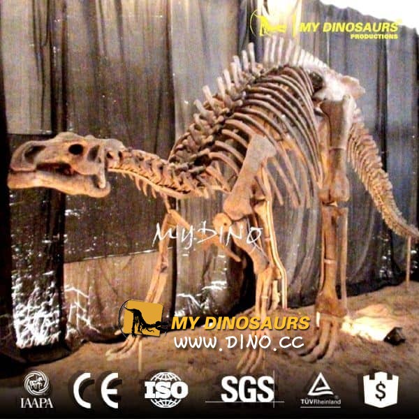 DS-094博物館展覽恐龍禽龍骨架模型
