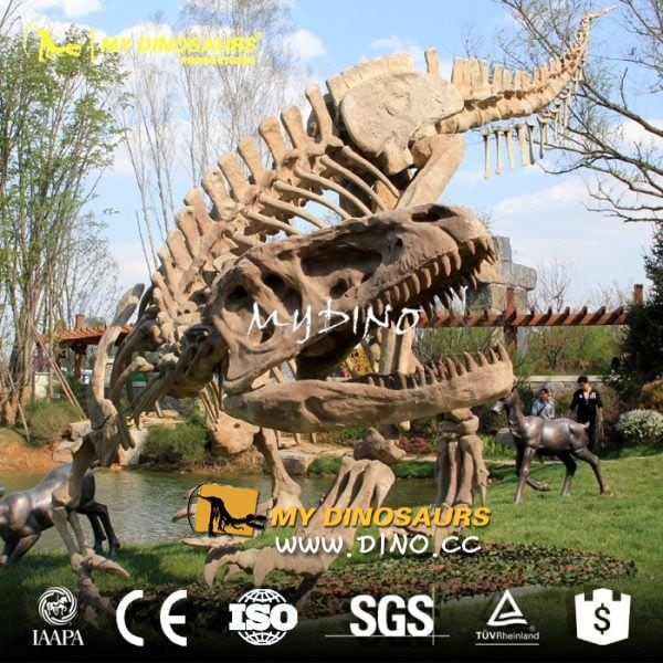 DS-009機(jī)械可動(dòng)仿真史前動(dòng)物骨架-仿真永川龍骨架