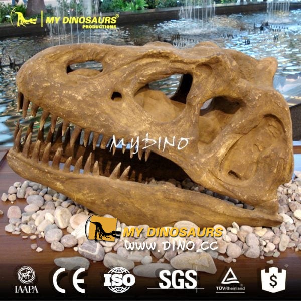 DS-049主題公園裝飾道具恐龍頭骨-仿真異特龍頭骨