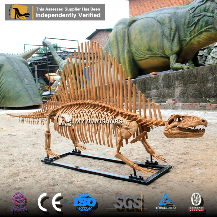 DS-0185 主題公園展覽道具異齒龍骨架化石