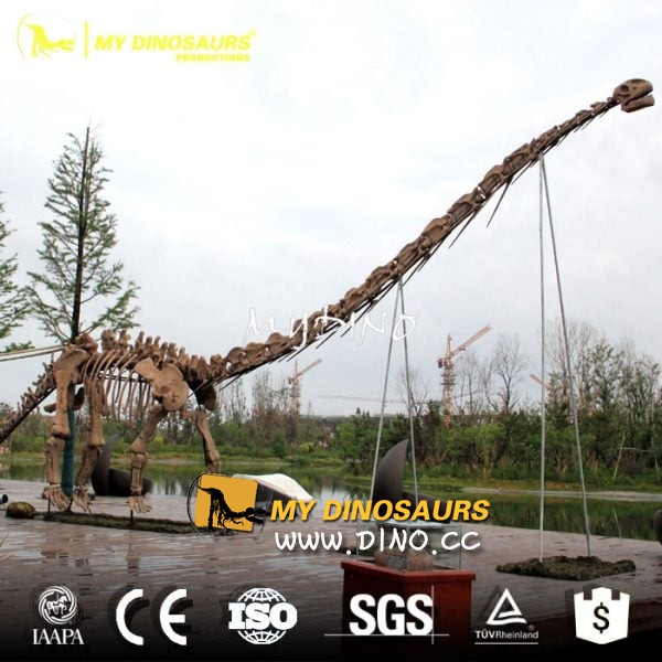 DS-031 主題公園道具仿真骨架-馬門溪龍化石骨架