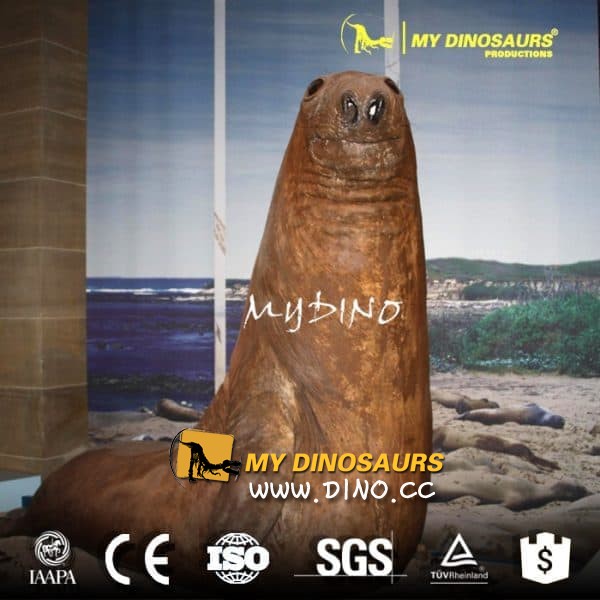 AA-065自然博物館動(dòng)物標(biāo)本仿真動(dòng)物海獅