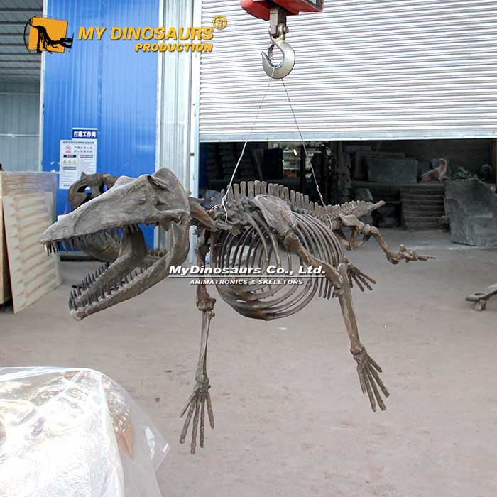 DS-213 懸掛式定制玻璃鋼游走鯨骨架化石