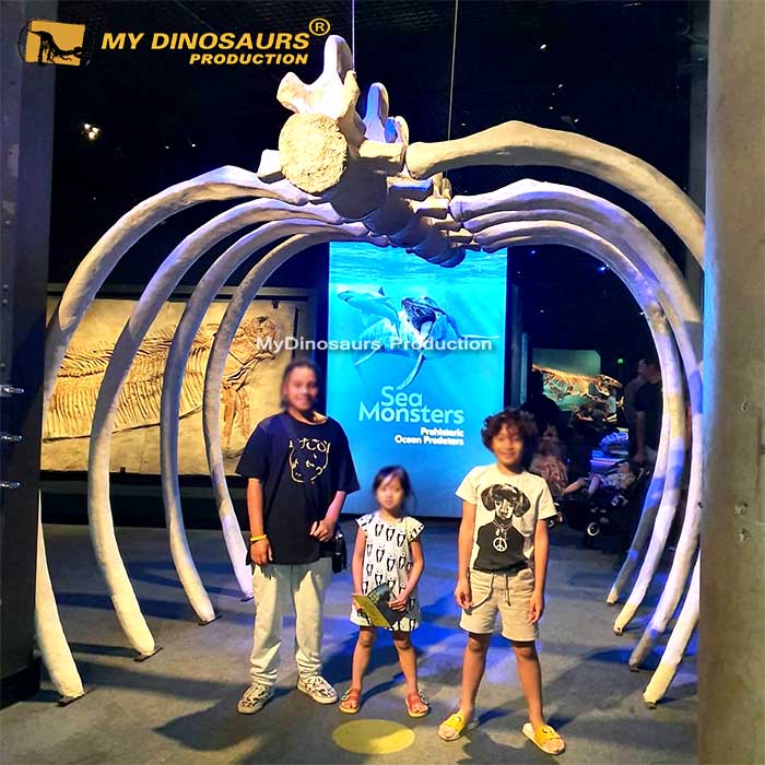 AS-092 主題公園展覽鯨魚胸腔骨架化石裝飾