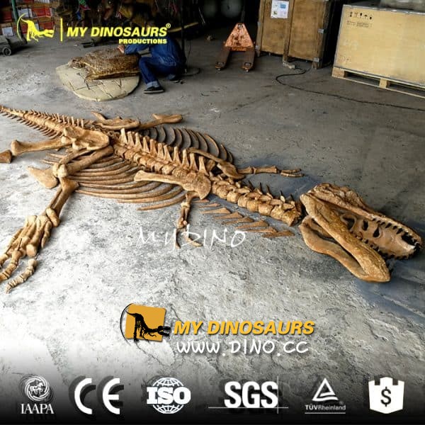 DS-101恐龍展覽恐龍游戲恐龍挖掘現(xiàn)場模擬
