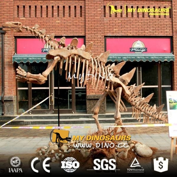 DS-003原始比例可動的機械恐龍骨架-沱江龍骨架