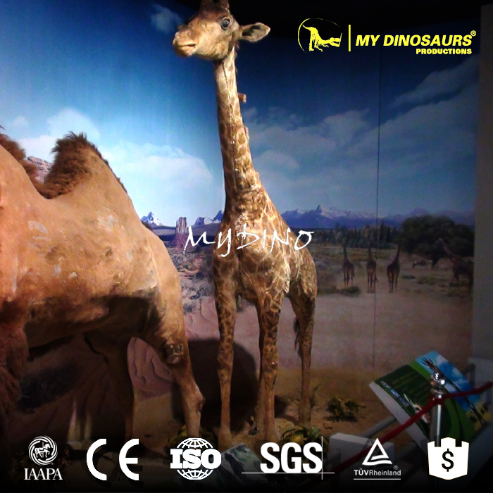 AA-102 博物館公園長(zhǎng)頸鹿定制模型