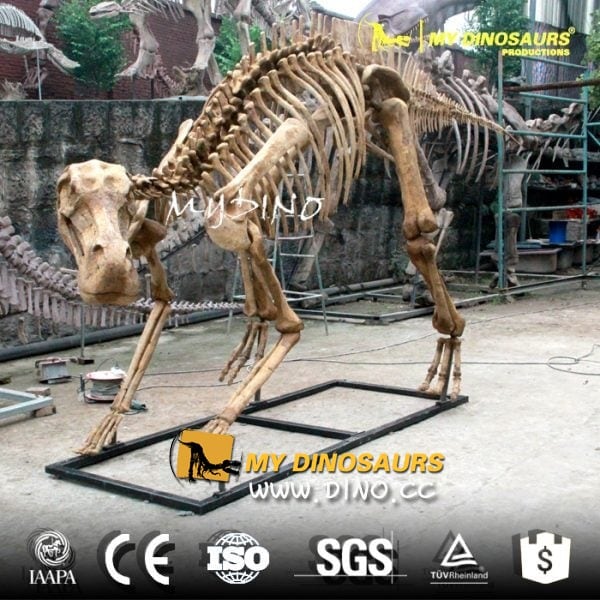 DS-012 考古挖掘仿真恐龍化石-仿真慈母龍骨架