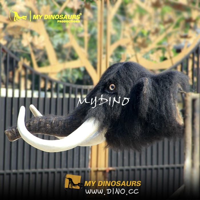 AA-090 定制主題公園仿真動(dòng)物 猛犸象長(zhǎng)毛象頭墻面裝飾模型
