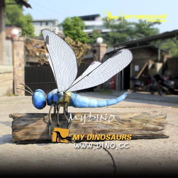 AI-049 極限昆蟲展覽吸引眼球巨型蜻蜓 
