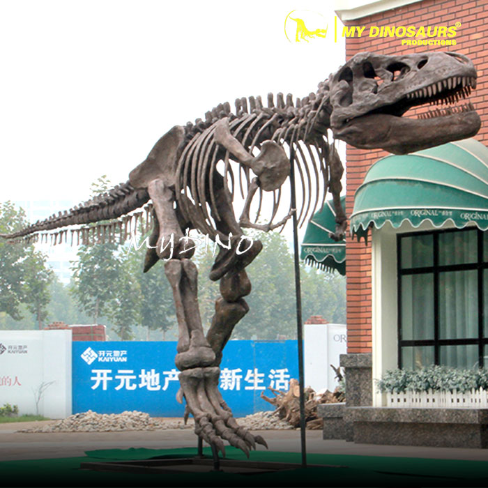 DS-0126 景區(qū)主題公園定制還原霸王龍骨架模型