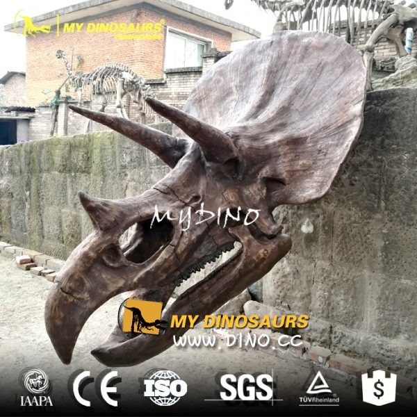 DS-051商場(chǎng)展覽用真實(shí)大小仿真道具恐龍頭骨-仿真三角龍頭骨