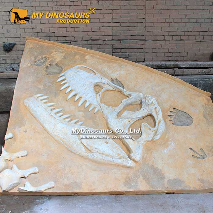 DS-225 霸王龍拼裝骨架化石板擺件