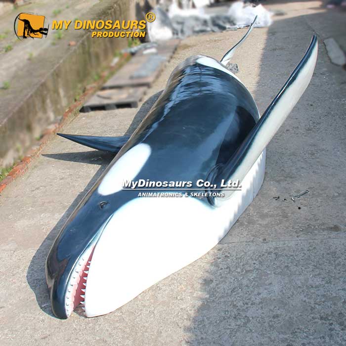 BL-064 海洋生物虎鯨殺人鯨玻璃鋼模型 懸掛式擺件
