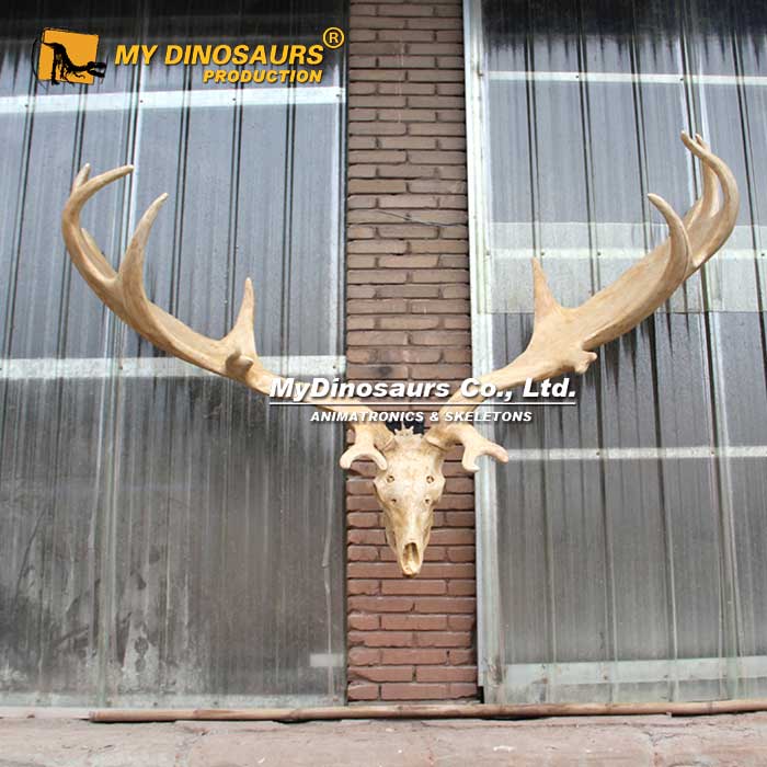 AS-100拼裝駝鹿頭骨骨架仿真動(dòng)物化石模型 手工擺件