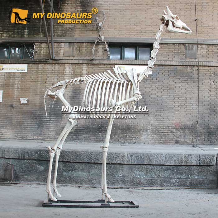 AS-099主題公園戶外陳設(shè)博物館標(biāo)本展覽長頸鹿模型