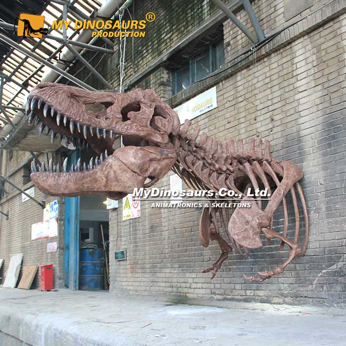 DS-226玻璃鋼材料仿真霸王龍半身骨架 壁掛化石擺件