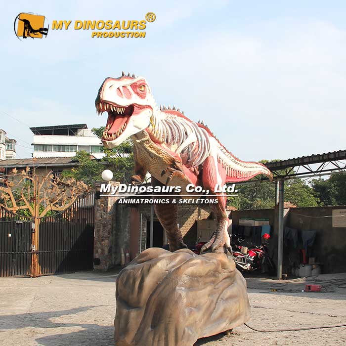 AD-253 龍晨時(shí)代 軟膠電動(dòng)半邊解刨帶骨骼肌肉紋理霸王龍模型