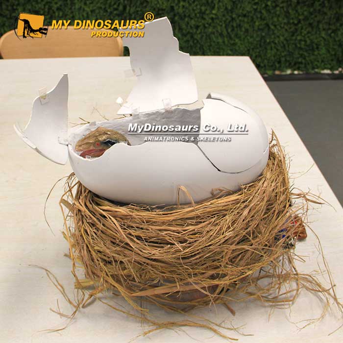 AD-261 外殼玻璃鋼材料 電動(dòng)展開仿真迅猛龍寶寶模型 精致小巧創(chuàng)意恐龍