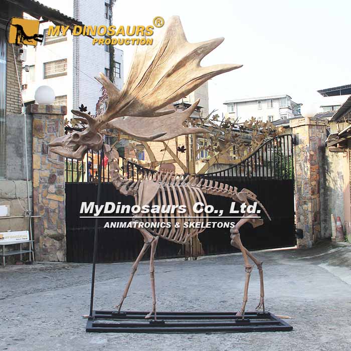 AS-114 自貢源頭工廠 仿真拼裝動物骨架化石雕塑 博物館景觀陳列大角鹿