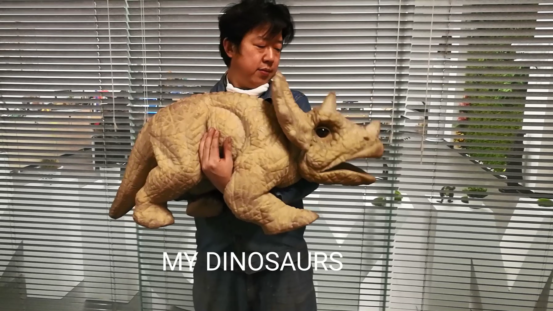 手偶視頻演示
