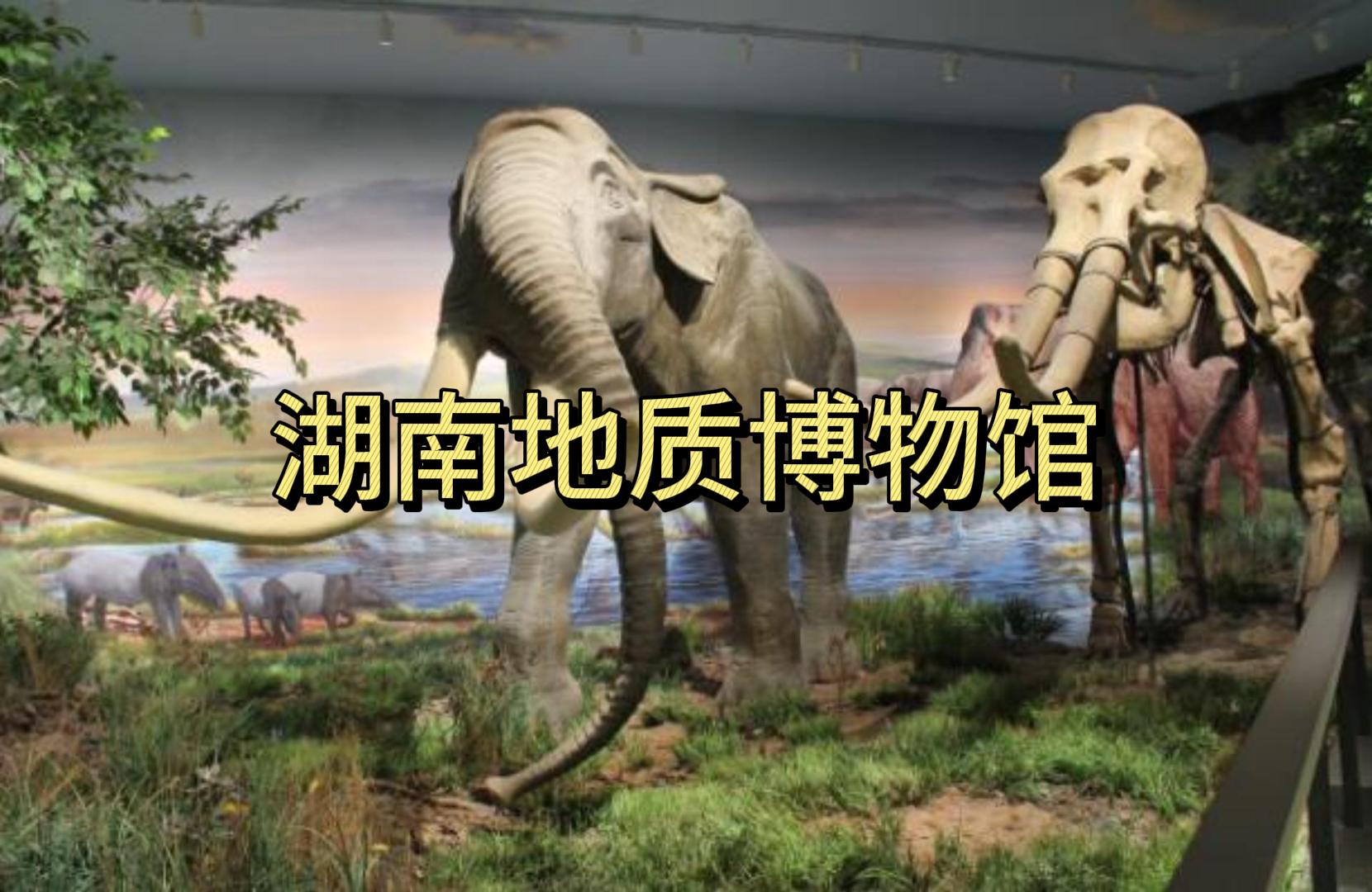 湖南地質(zhì)博物館生命演化制作
