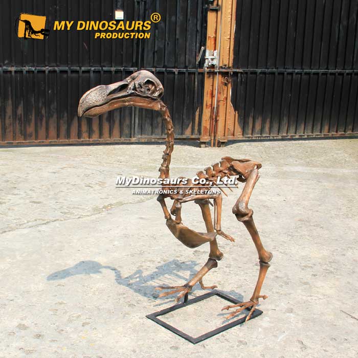 AS-147  冰川時(shí)代動(dòng)物模型 史前渡渡鳥骨架模型