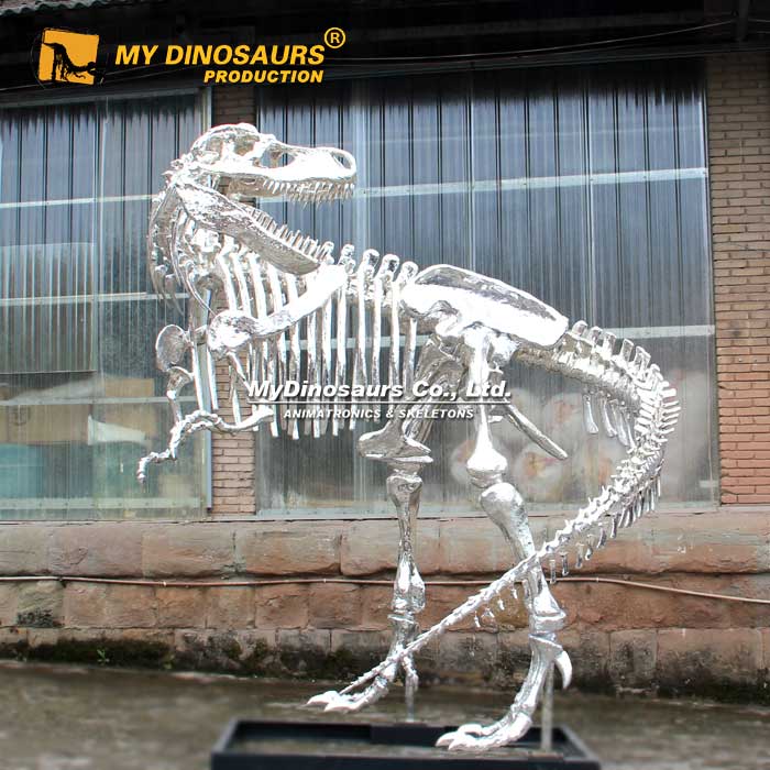 DS-239  玻璃鋼恐龍骨架鍍銀霸王龍骨架
