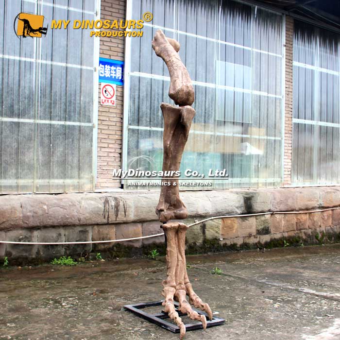 DS-240 龍晨時代手工制作霸王龍腿骨骨架