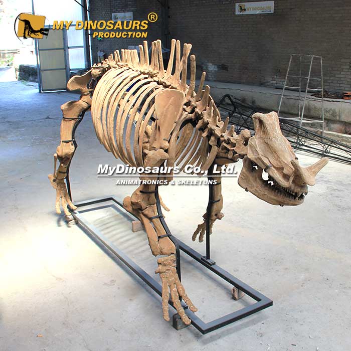 AS-149 龍晨時(shí)代手工制作玻璃鋼動(dòng)物骨架模型-雷獸